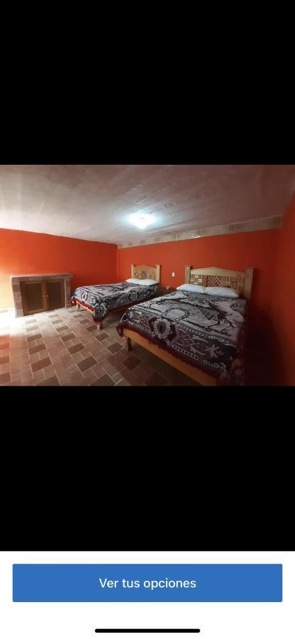 Hospedaje Alex Catorce Esterno foto